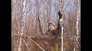 Охота в Ивановской области. Компания ЭВЕНТУС.