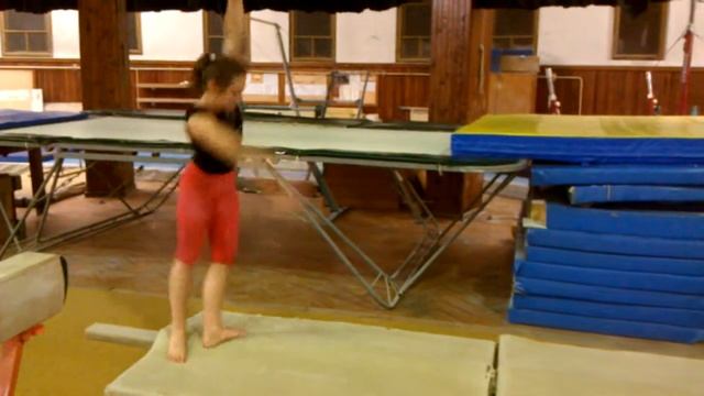 Zuzka - trénink podzim 2013 - přemety a salta na kladině смотреть онлайн