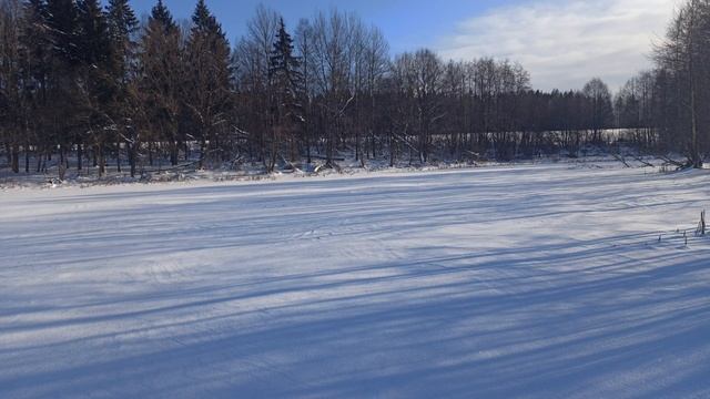 дер. Рафолово (Белыничский район). Замёрзшее озеро. Укутанный снегом лес. Зимняя сказка! смотреть онлайн