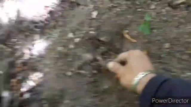 PETITE SORTIE смотреть онлайн