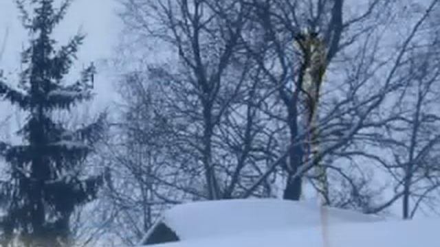 Шешурино