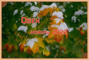 Овен! Гороскоп на ноябрь 2022 года!