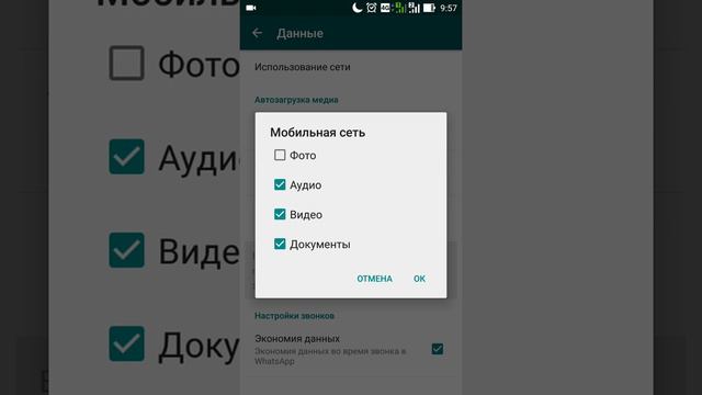 Отключение загрузки данных Ватсап (Whatsapp)