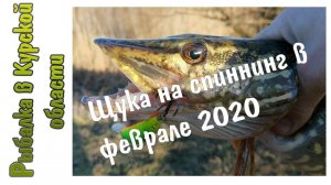 Щука на спиннинг в феврале 2020. OSP Rudra 130 SP и сход крупной щуки