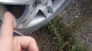 Как БЫСТРО проверить амортизаторы. Проверка амортизаторов САМОСТОЯТЕЛЬНО