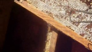 Окончательная формировка пчёл на зиму в ульях лежаках
