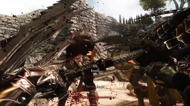 Skyrim: Bonney Follower