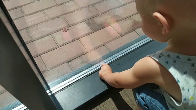 Fox Rock Fest,ребенку 15 месяцев,лето, жара, дача, новые игрушки смотреть онлайн