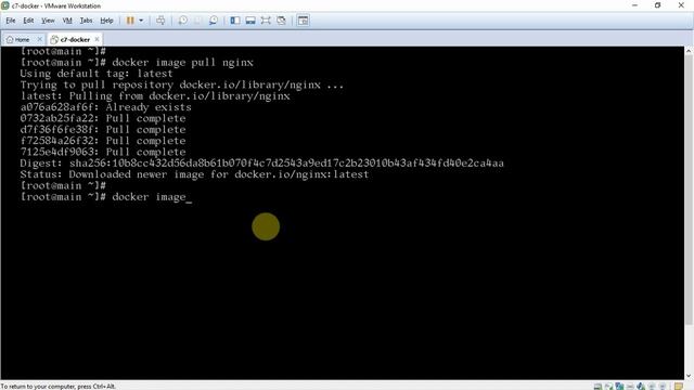 22-Docker Web Server Images - 1 | Docker Tutorial for Beginners (Hindi) | Learn Docker
