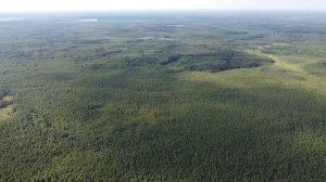 Ушмарское болото (часть 2)