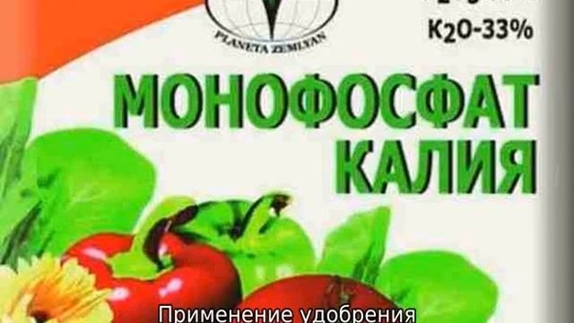 Как подкормить клубнику монофосфатом калия. Монофосфат калия для рассады как разводить. монофосфат для рассады как применять.