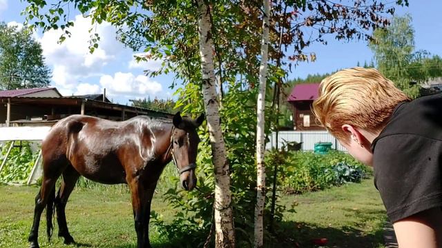 Моем Софку😯 Примеряем пад/Скоро распаковка огромной посылки?💜 смотреть онлайн