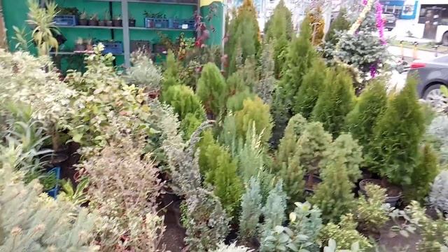 Сочи.Рынок Абхазский,цены на товары.