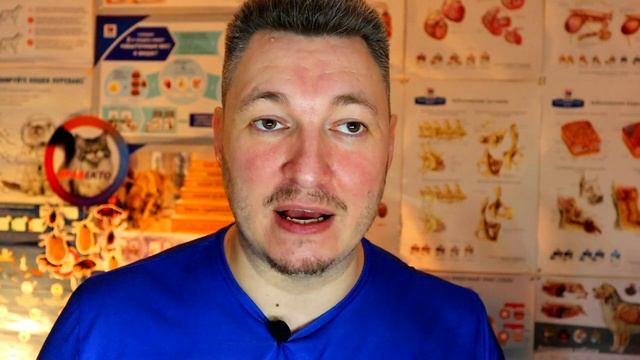 Вам страшно? Нет?!