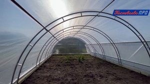 Обзор фермерской теплицы под плёнку Поспеваево ПРО - Арочная 6М, под один слой плёнки