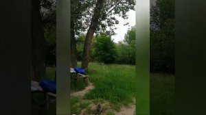 Сплав по рекам Волгоградской области Бузулук, Хопёр, Дон. 200км на лодке ПВХ.