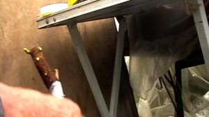 Варианты прививок инжира на вегетирующие саженцы