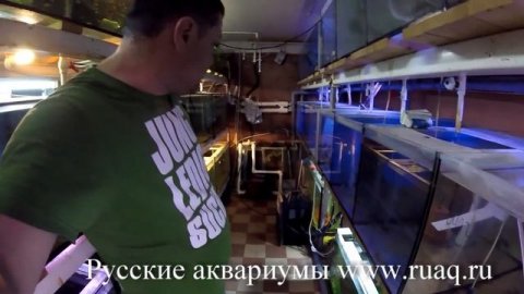 Принципы построения рыборазводни