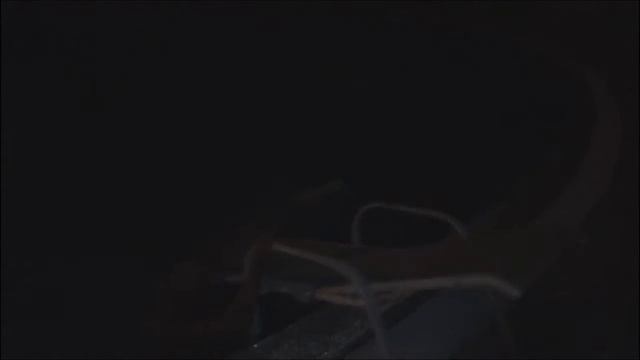 Посаны в египте тусят / Russian tourists in Egypt смотреть онлайн