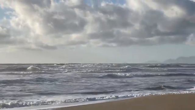 Море, море, мир бездонный! 17.11.23 год.