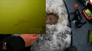 Жесть на водохранилище, чуть не остались там ночевать! Вот это зимняя рыбалка с подводными съемками