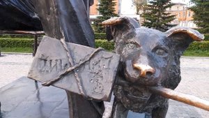Иркутск. Цирк. Гайдай (28.06.2023)(5).