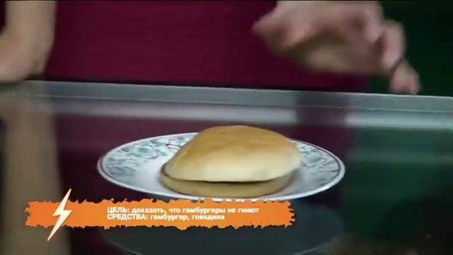Гамбургеры не гниют | Раздолбаи смотреть онлайн
