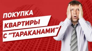 Как не купить квартиру с «тараканами»?