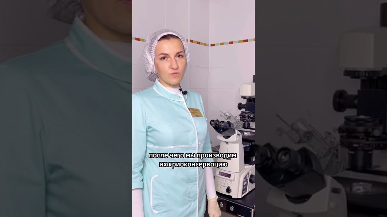 Развитие эмбрионов смотреть онлайн