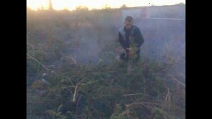 Бешенный Чувак С Бензопилой