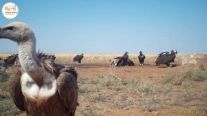 Приоткрывая заповедные двери… Остановка по расписанию