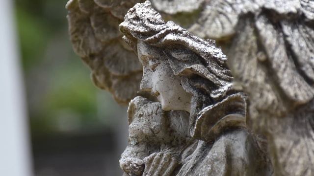 Savannah - 2017 Road Trip смотреть онлайн