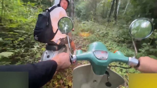 УГАРНЫЕ ПОКАТУШКИ ПО ЛЕСУ | ПАРАДЕЕВИЧА УКУСИЛА ОСА смотреть онлайн