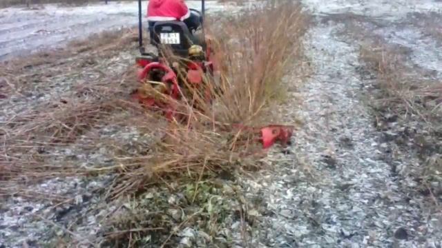 Мтз-132н косит малину. смотреть онлайн