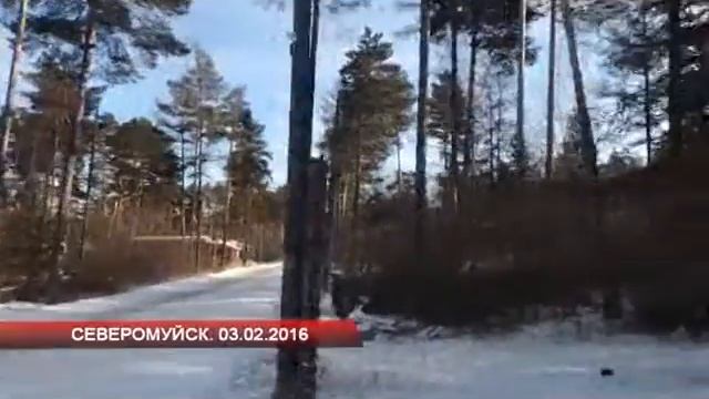 Северомуйск 03.02.2016 смотреть онлайн