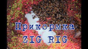 Прикормка для ловли карпа на ZIG RIG