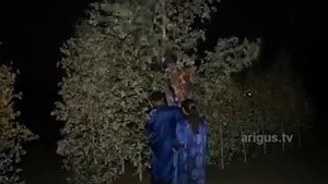 Шаманы Между небом и землей