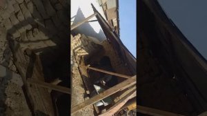 откорм бычка перевели бычка под навес