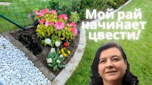 Мой любимый огород расцветает ??? Просто Мария