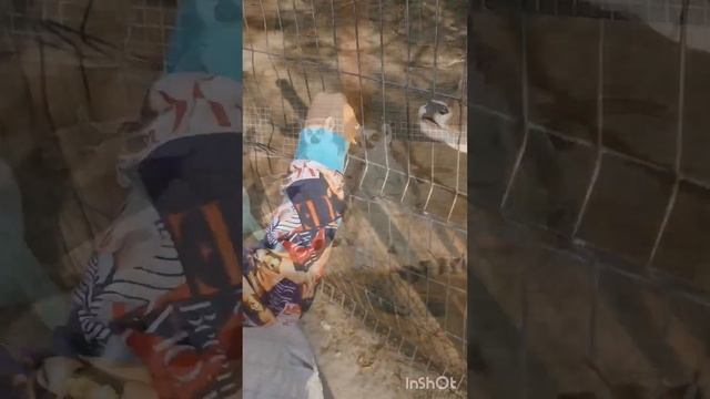 Что посмотреть в Крыму. Бахчисарай. Парк миниатюр. смотреть онлайн