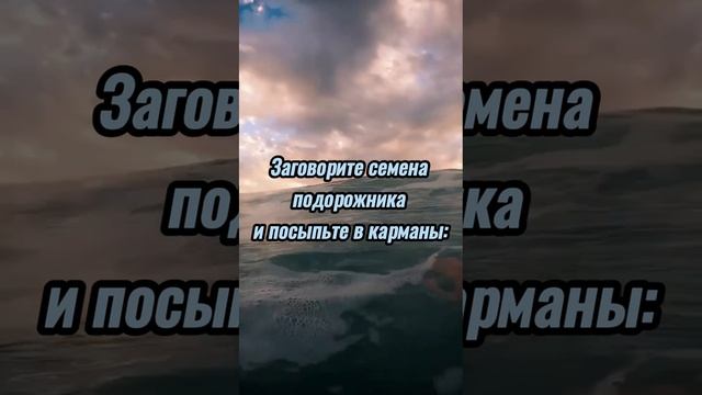 На удачную сдачу экзаменов в институте.#shortsvideo #shortsyoutube #viralshorts #shorts #youtube