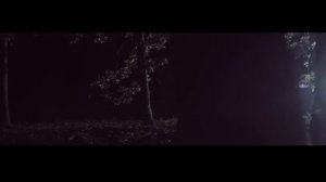 ADDA - Lupii (Nu plange, ADDA - 2016)