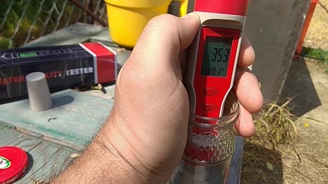 Подкормка и подкисление голубики. Начал строить теплицу под голубику. смотреть онлайн