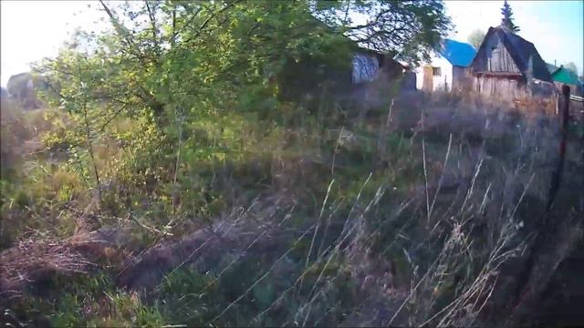 11.05.2021. Ищу место для нового точка (пасеки). Выставляю ловушки. смотреть онлайн