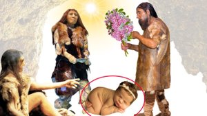 Ребёнок денисовца и неандерталки. Новые данные генетического анализа кости из Денисовой пещеры