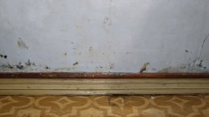 Как удалить чёрную плесень? 100% метод за 15 минут