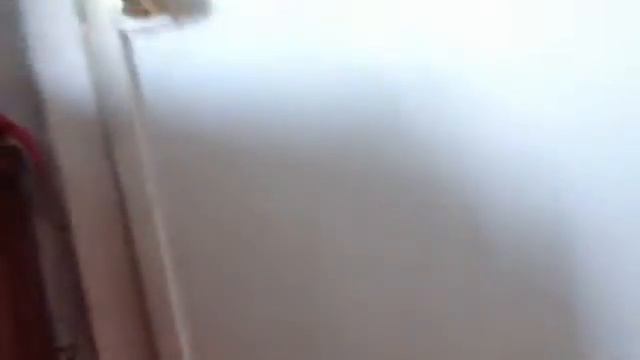 Утро Розового слона Часть 1 смотреть онлайн