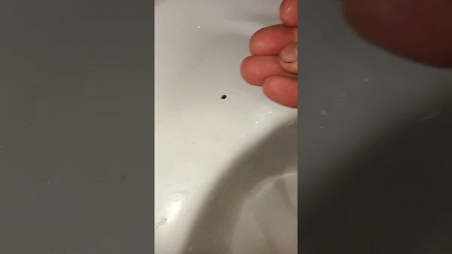 Шеншитонг,результат через час,полтора смотреть онлайн