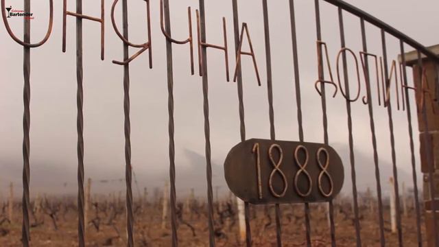 Экскурсия завод Солнечная Долина - Реальные отзывы - Крымская Школа Барменов