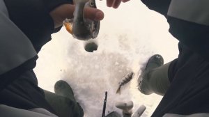 15+ км по Кубенскому озеру. Зимняя рыбалка на окуня